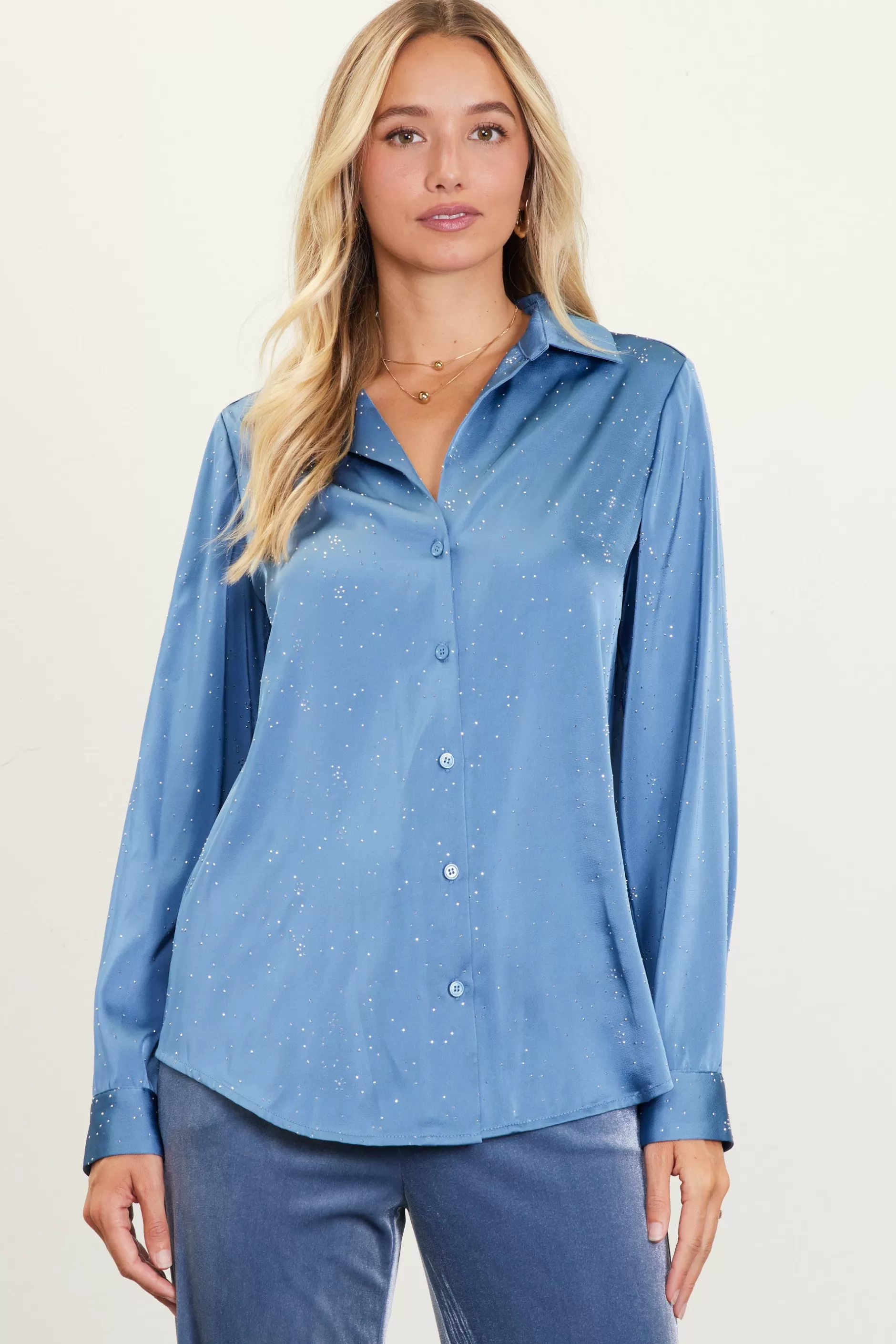 SKIES ARE BLUE Shimmery Button Down Blouse