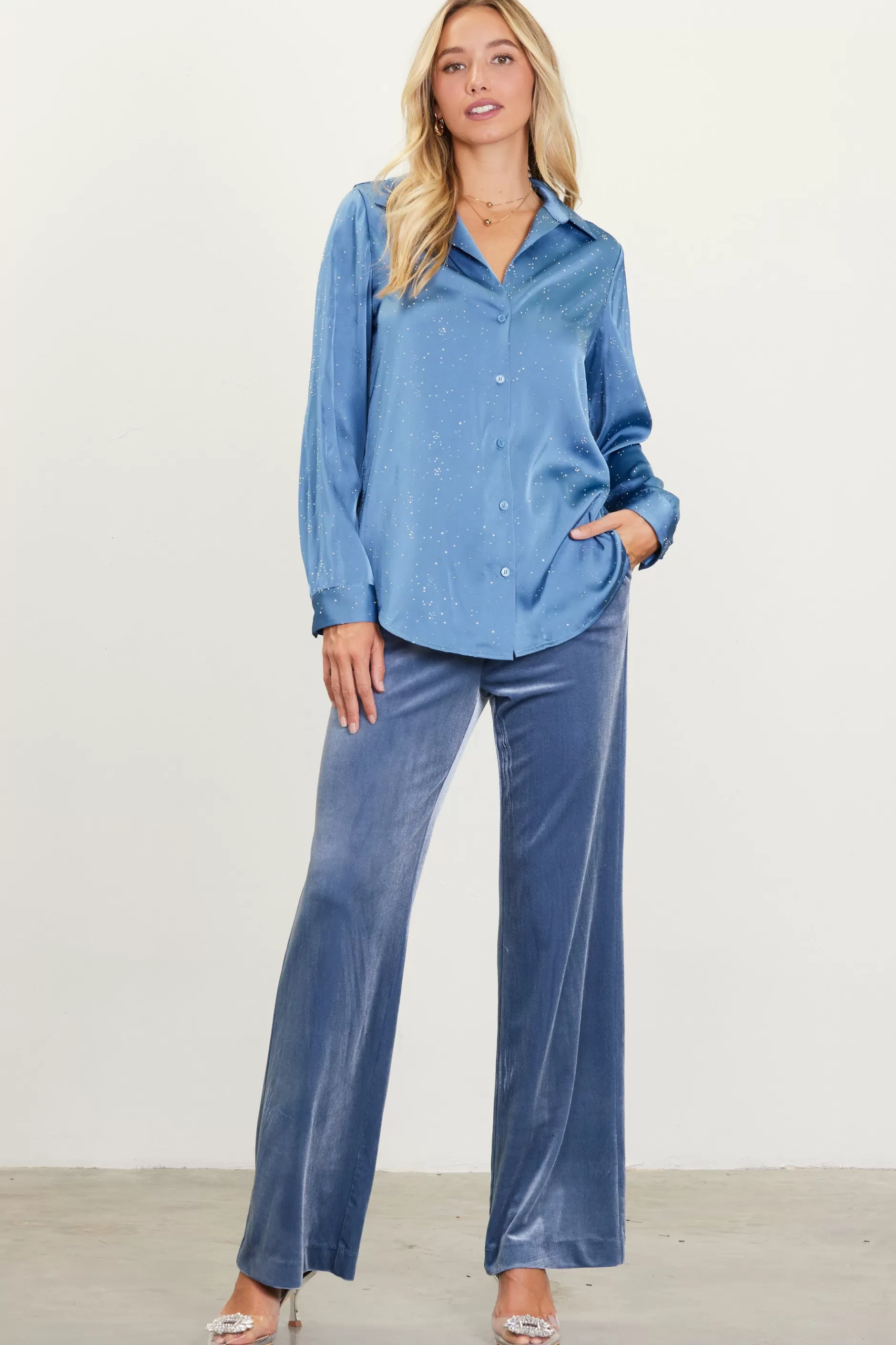 SKIES ARE BLUE Shimmery Button Down Blouse